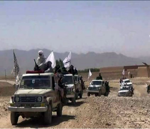 100 Militants Eliminated in Week-Long Herat Operation